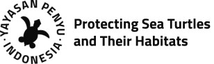 Yayasan Penyu Indonesia, Melindungi Penyu dan Habitatnya