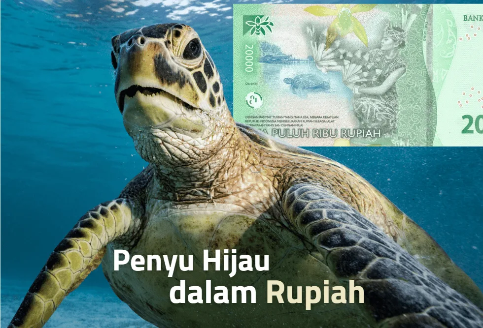 Penyu Hijau dalam Rupiah dan Kasus Penyelundupan Penyu di Bali
